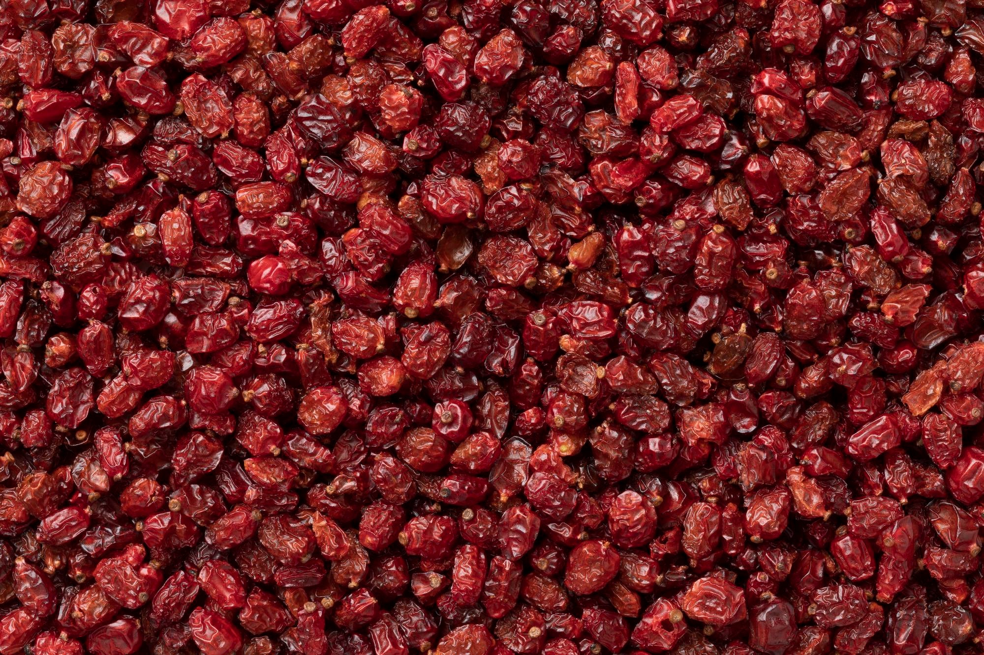 Khorasan Barberry